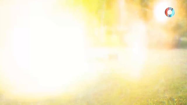 АвтоСфера.Омск-ТВ 13.08.2025