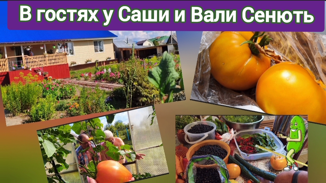 В гостях у Саши и Вали Сенють..как же у них красиво...