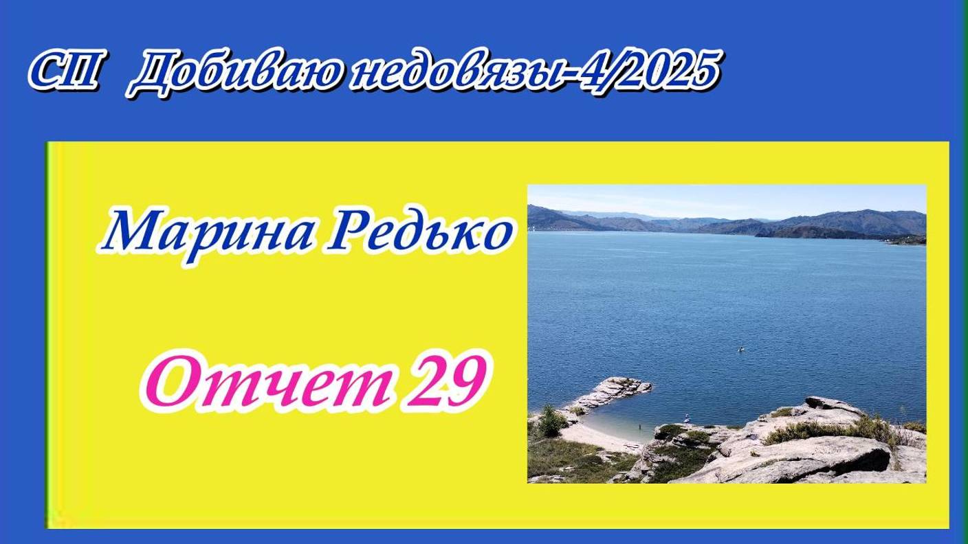 СП "Добиваю недовязы-4/2025" / Отчет 29