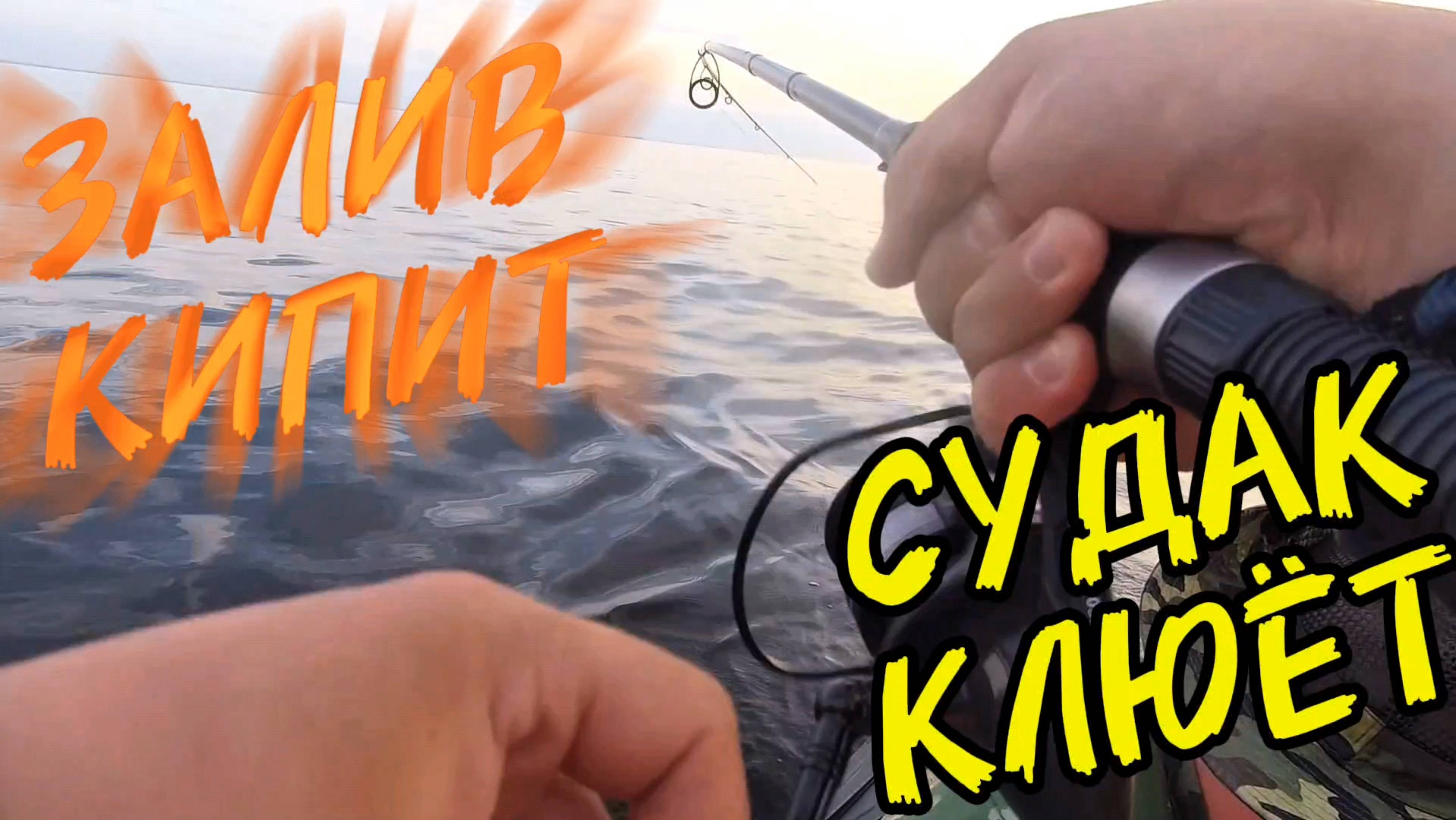 ЗАЛИВ КИПИТ- СУДАК КЛЮЁТ. Показываю уловистые воблеры на судака.