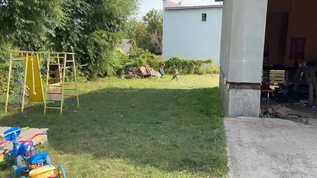 Догонялки с собакой.mp4