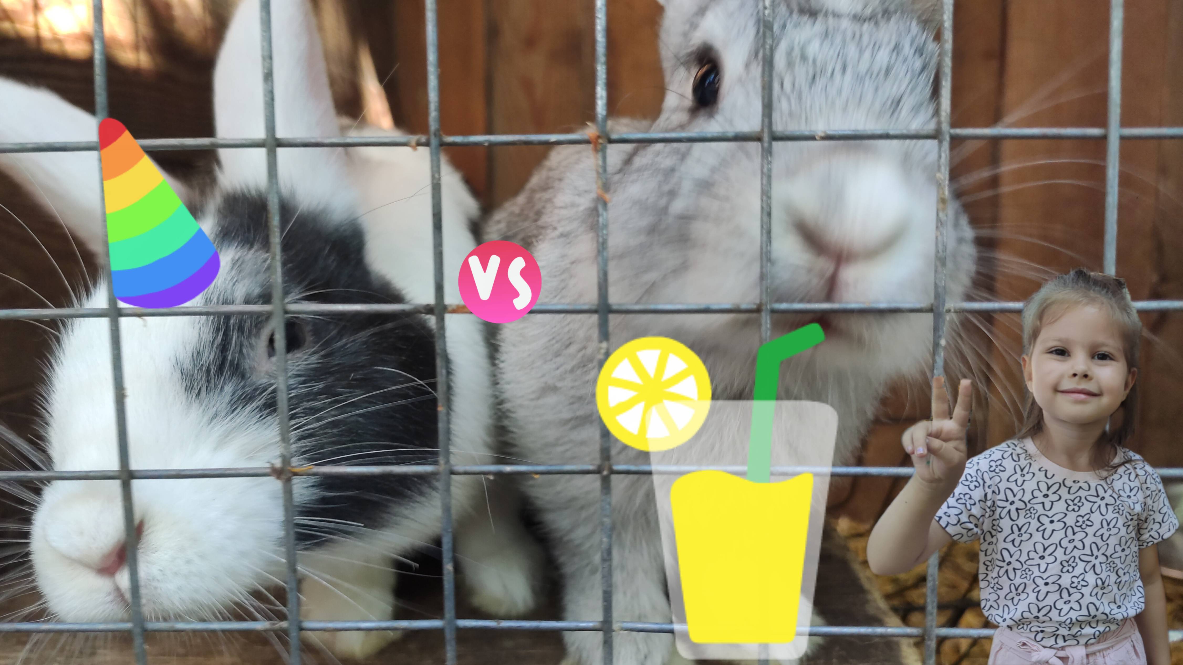 ВЛОГ| Животные | Дикие животные  | Контактный зоопарк |  Животный мир  | Лайк Настя | Ава и мама