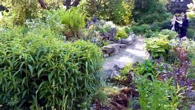 Альпийские горки / Ботанический сад / Санкт-Петербург ( из неопубликованного )