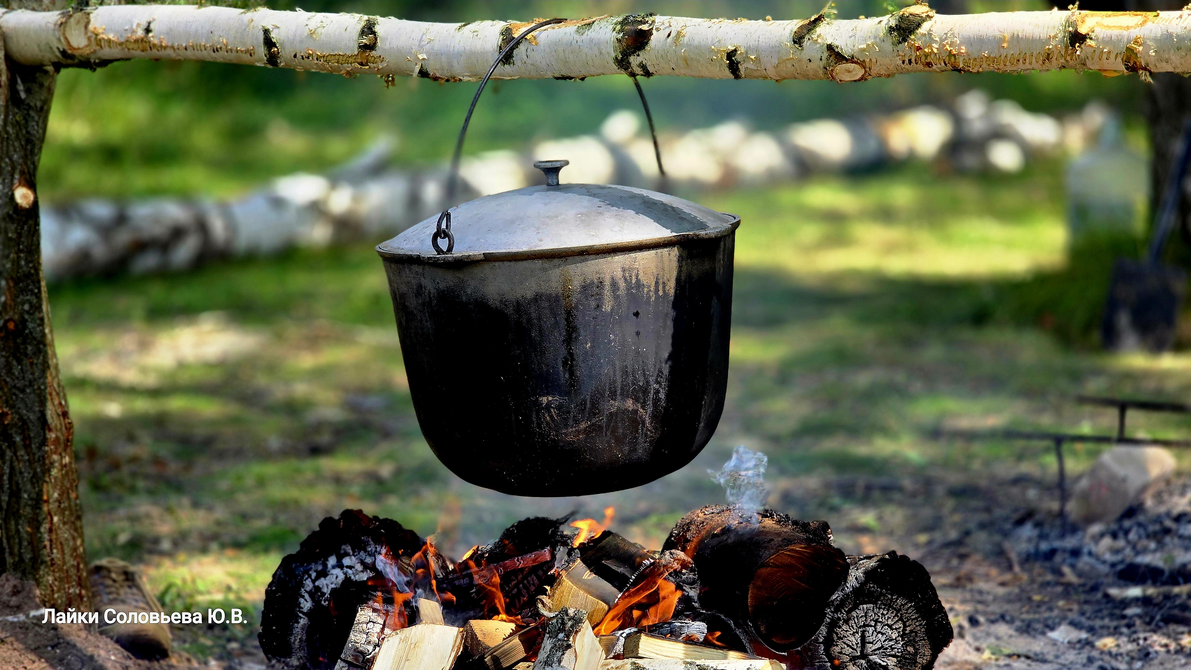 Шурпа из дичи