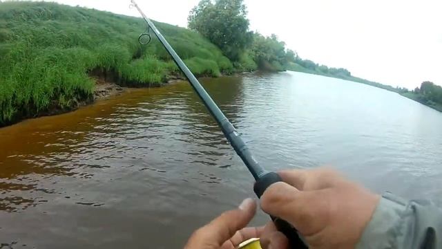 Азартная рыбалка  1 день