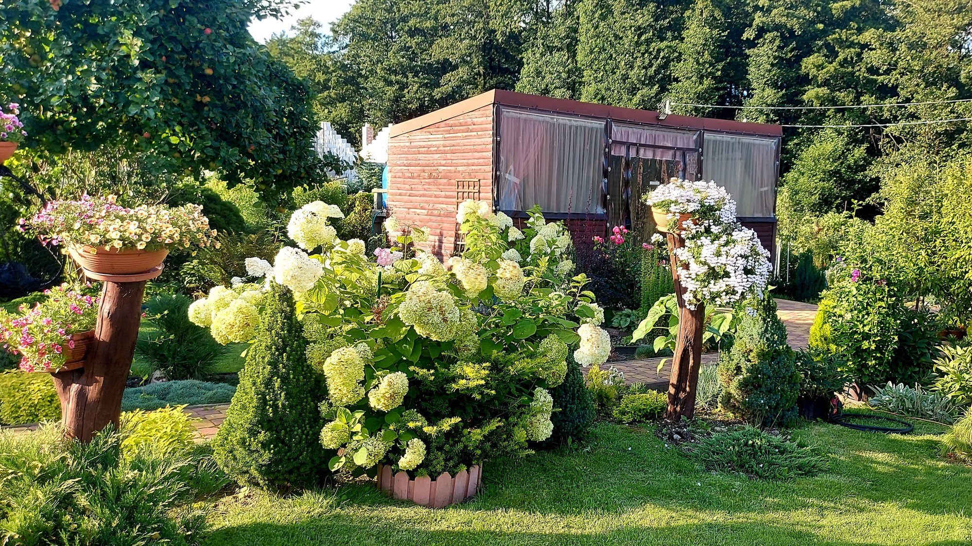 Старая клумба заиграла новыми красками👌🌲🌸 #любимаядача