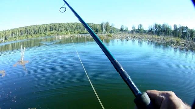 Рыбалка на платном озере.