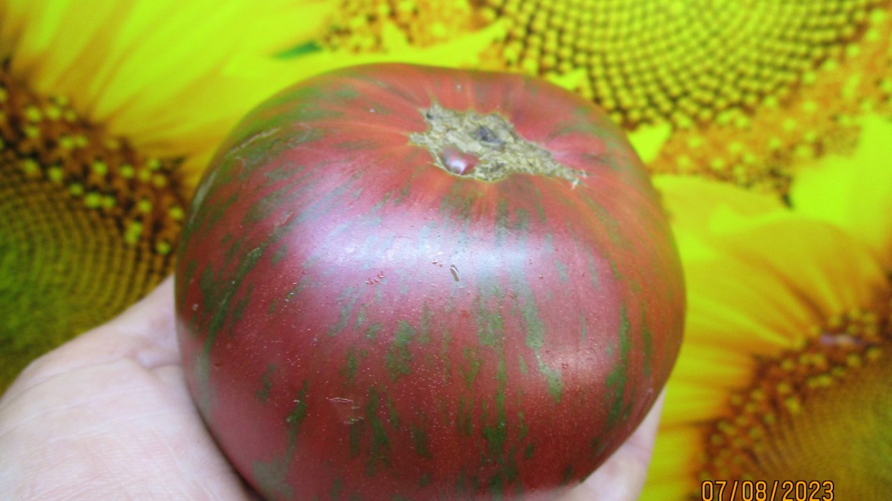 ДВОЙНИКАМИ по вкусу и цвету могут быть Томатные Гномы.