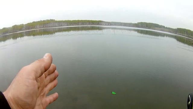 Анимация Ратлинов