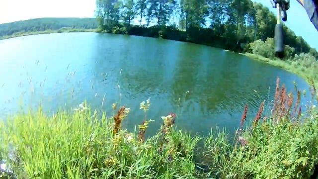 Окушки переселенцы