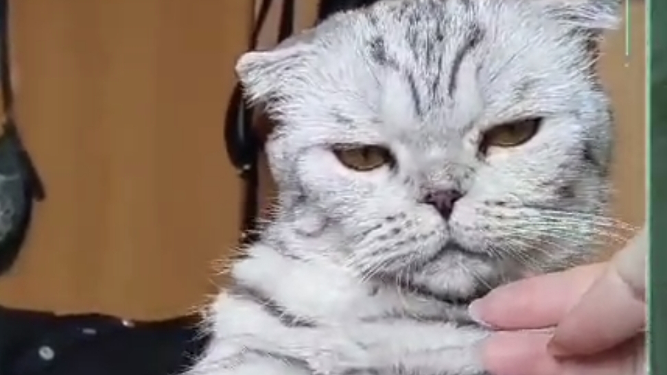 Голод не тетка