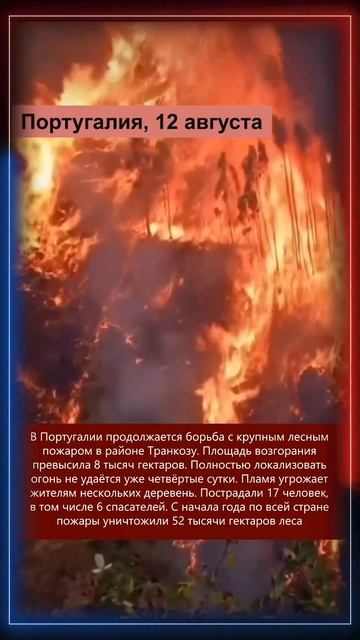 13.08.2025 Что произошло в мире(смотри описание к видео)