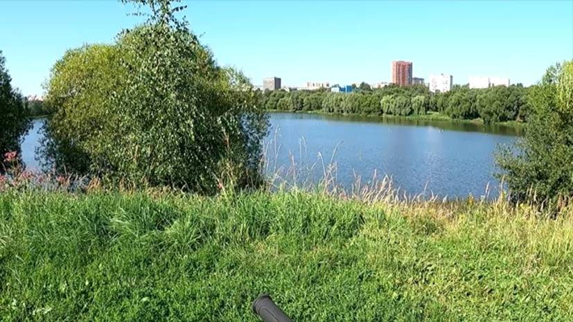 Про-катка тестовая: нижний Царицынский и Борисовские пруды