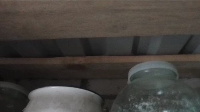 У меня поселился сверчок