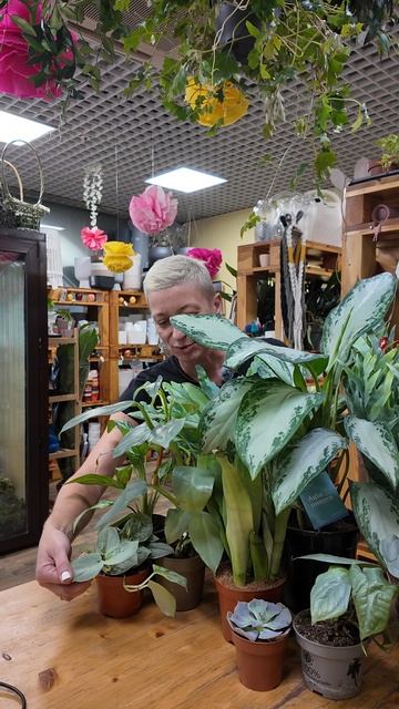 Тест: насколько вы богатый цветочник? Серебряная подборка растений.