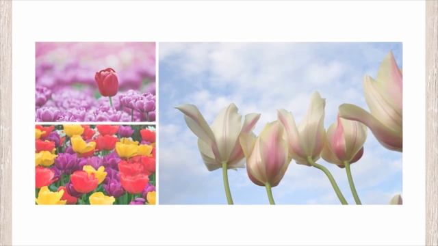 Milimetr - nternal Tension