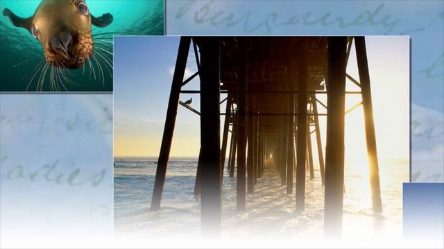 WERX -  Solaris Slumber