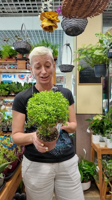 Руки-лейки у кого? Это растение для вас!