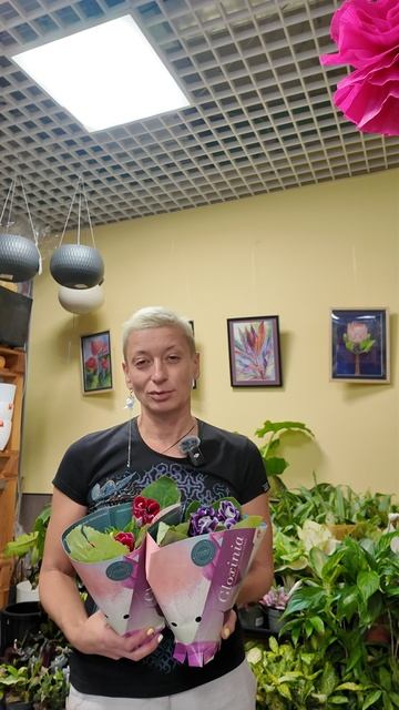 Бабушкины растения - это какие? Пишите свои варианты в комментариях