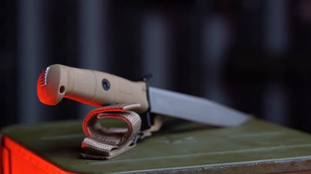 Легенда в новом исполнении: Vector AUS-10Co с криообработкой и в цвете рукояти Пустыня!