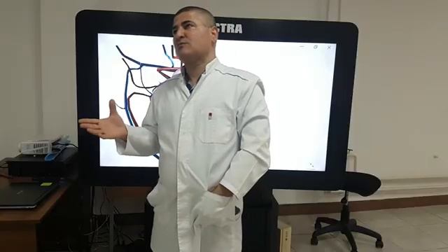 3D. Клиническая анатомия глазного яблока Д.м.н. профессор КАФАРОВ ЭДГАР САБИРОВИЧ г ГРОЗНЫЙ