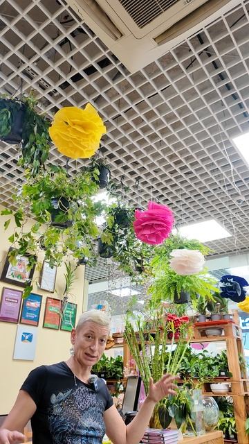 Вертикальное озеленение или фитостена?