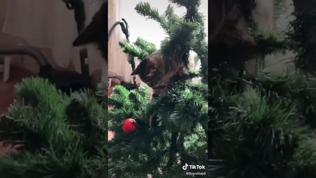 Мой любимый сериал