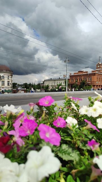 Нечто прекрасное из Владимира