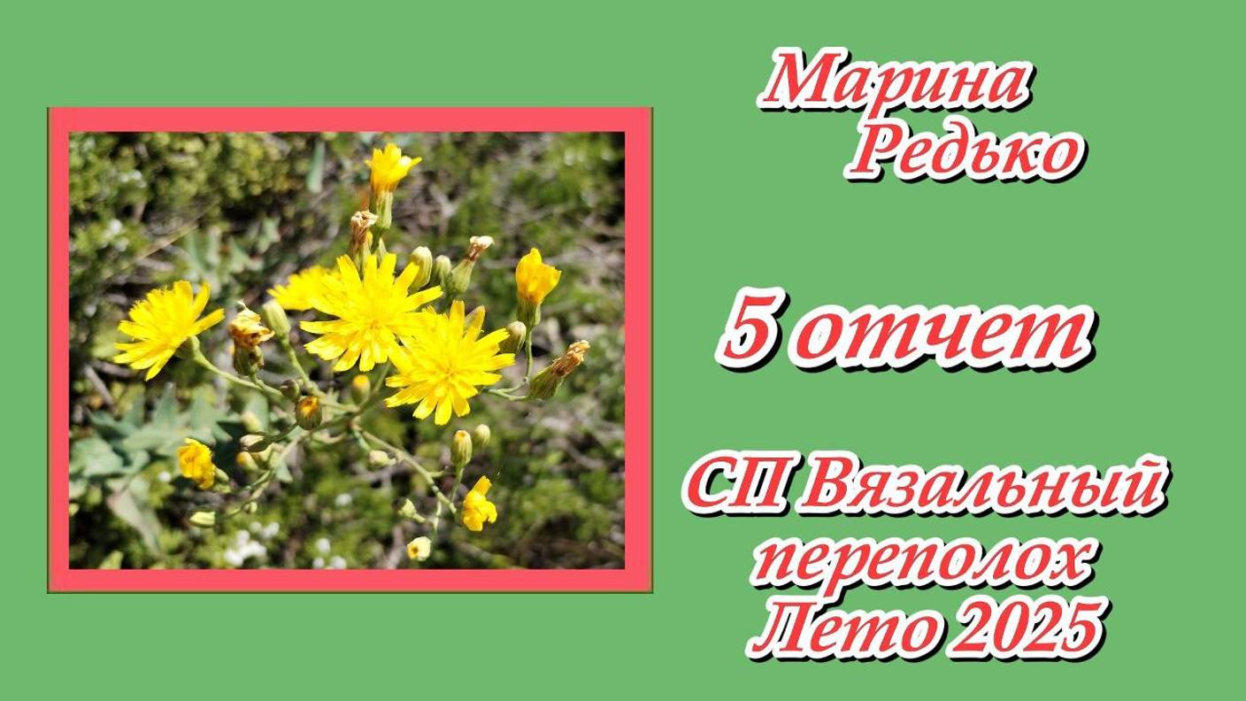СП "Вязальный переполох Лето 2025" / 5 отчет