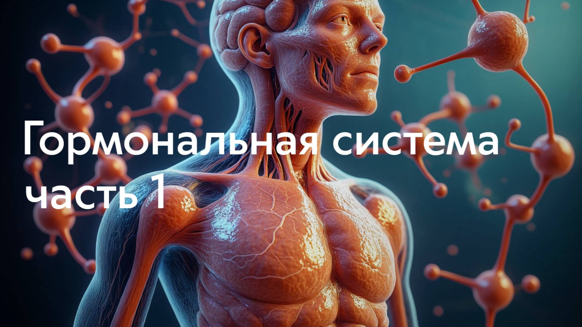 Лекция №1 – Гормональная система, часть 1