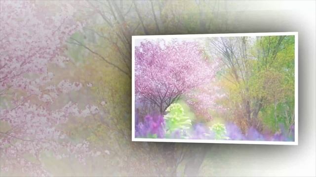 Textere Oris-Smell of Miracle