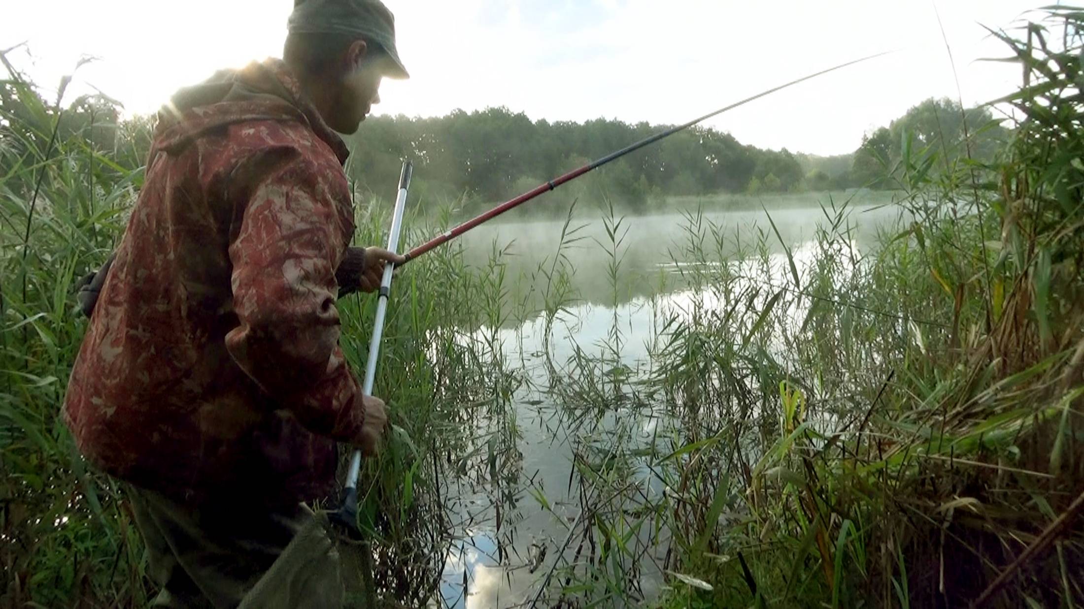 Рыбалка 14 августа в окнах тростника на поплавки на линя! - поклёвки линя крупным план! Подсак не у!