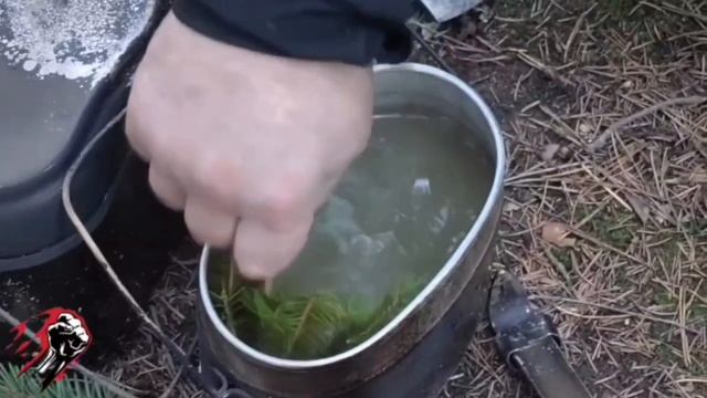 Лесной поход Северян🔥👍