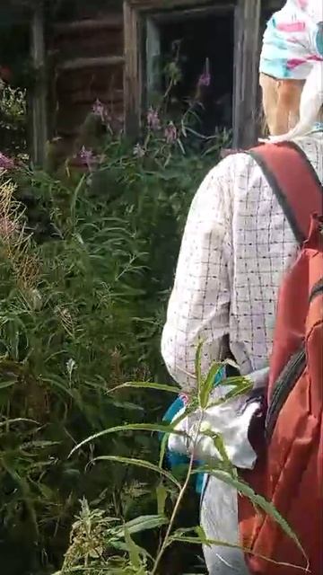 Деревня, где я родилась и выросла. Ещё немного и её не найти среди лесов Вятской губернии