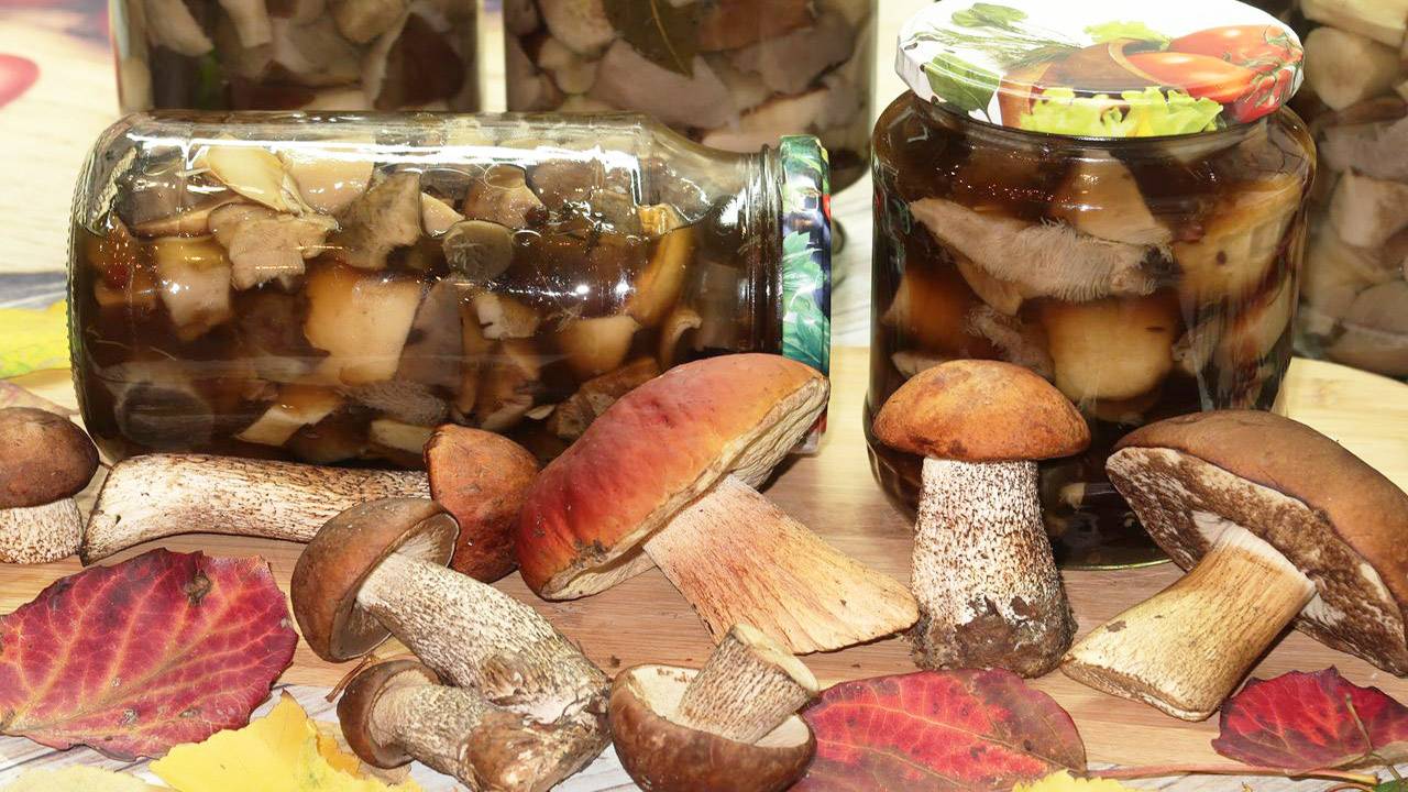 Маринованные белые грибы с подосиновиками на зиму