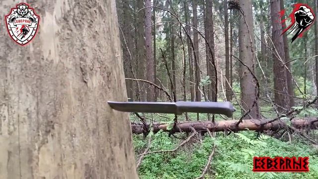Продолжение о ножечке🔪, полет бургута🔪 в лесу🌲, помощник Северянам👍🔥