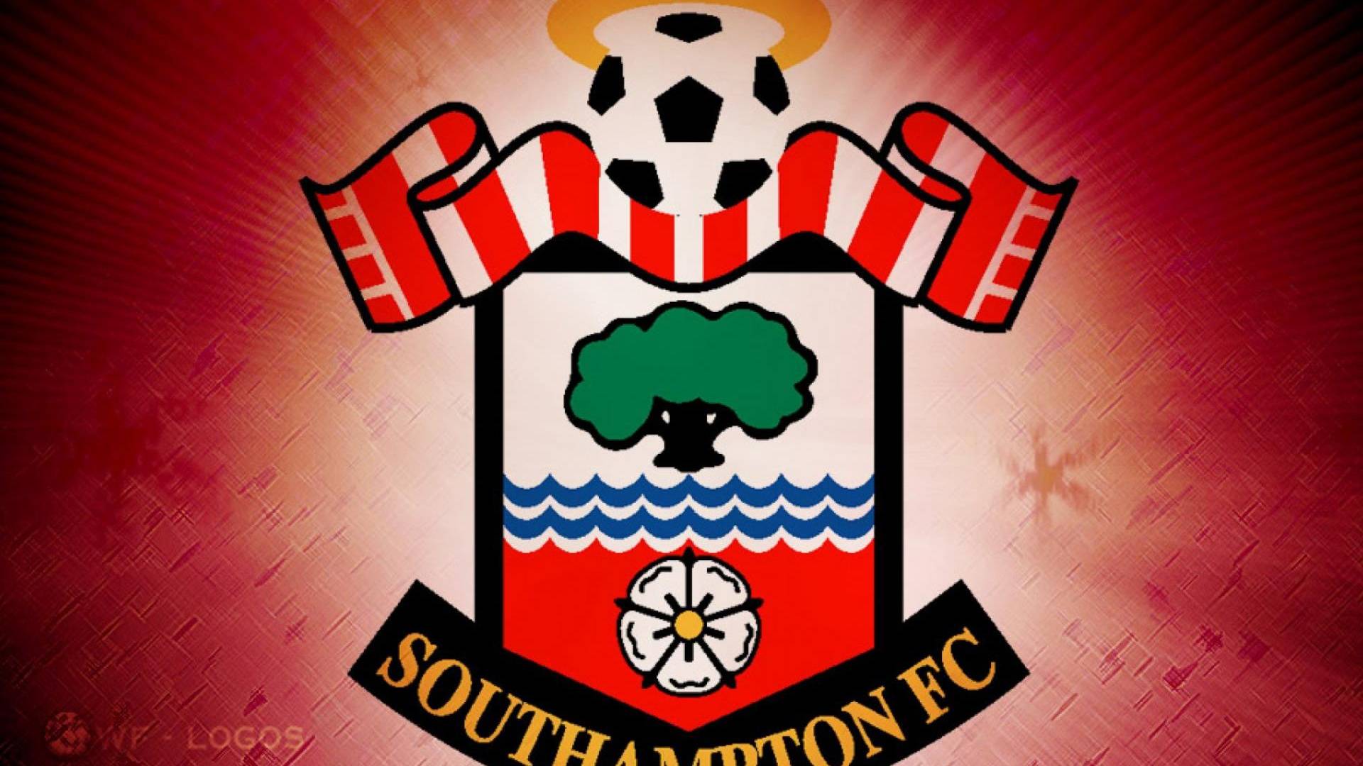 5-й тур   Вулверхэмптон-Саутгемптон