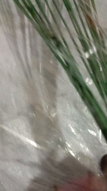 Озон посылка "украшения на клумбу"