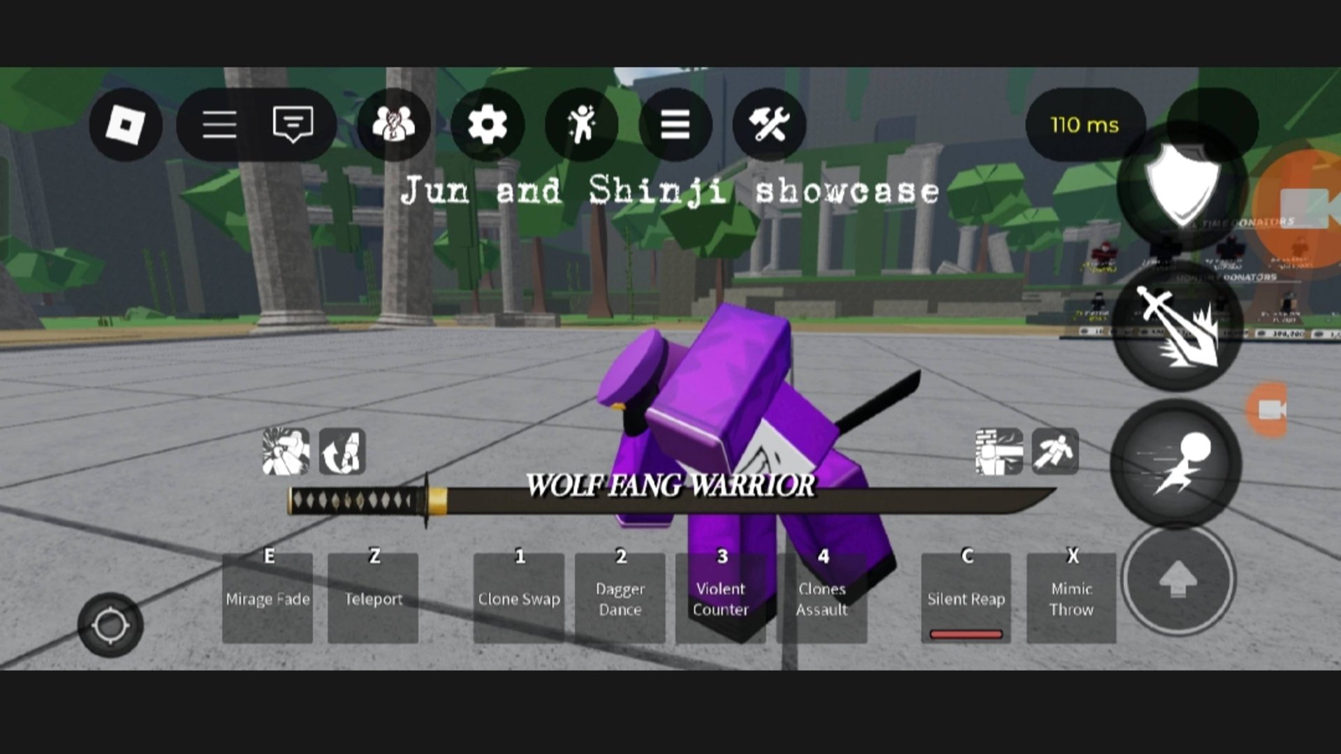 Fatal combat:Jun and Shinji showcase