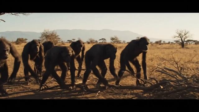 Life 3.9 Million Years Ago ｜ First Fear