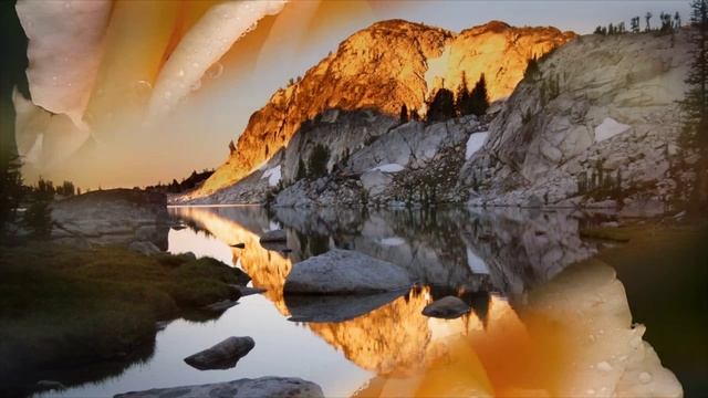 WaveWizzard - Trial World for One Day