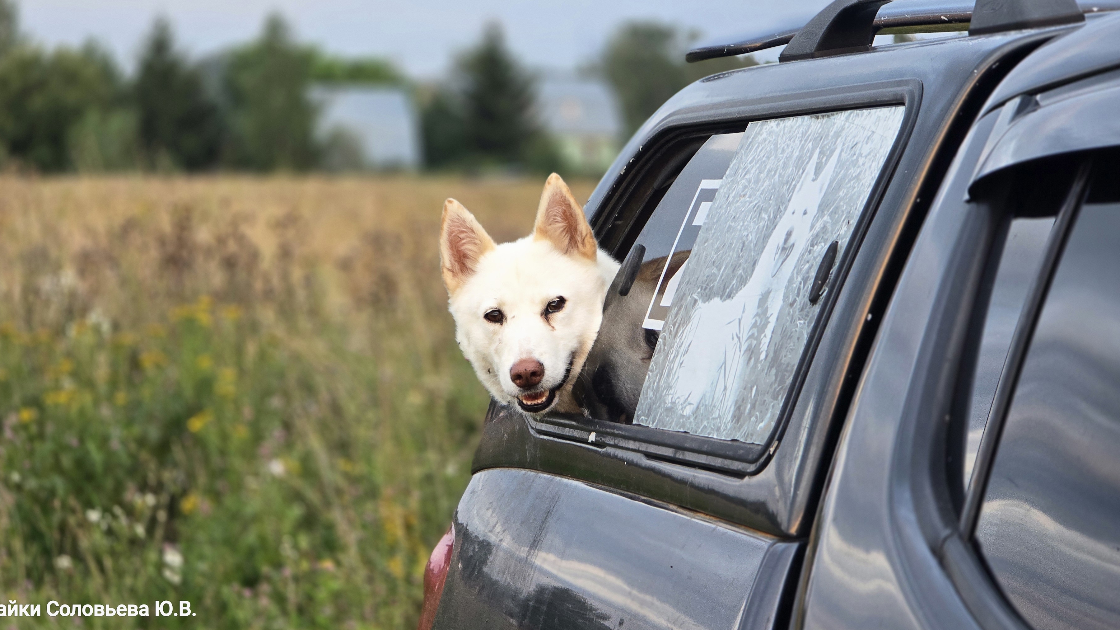 Пришли не пришли