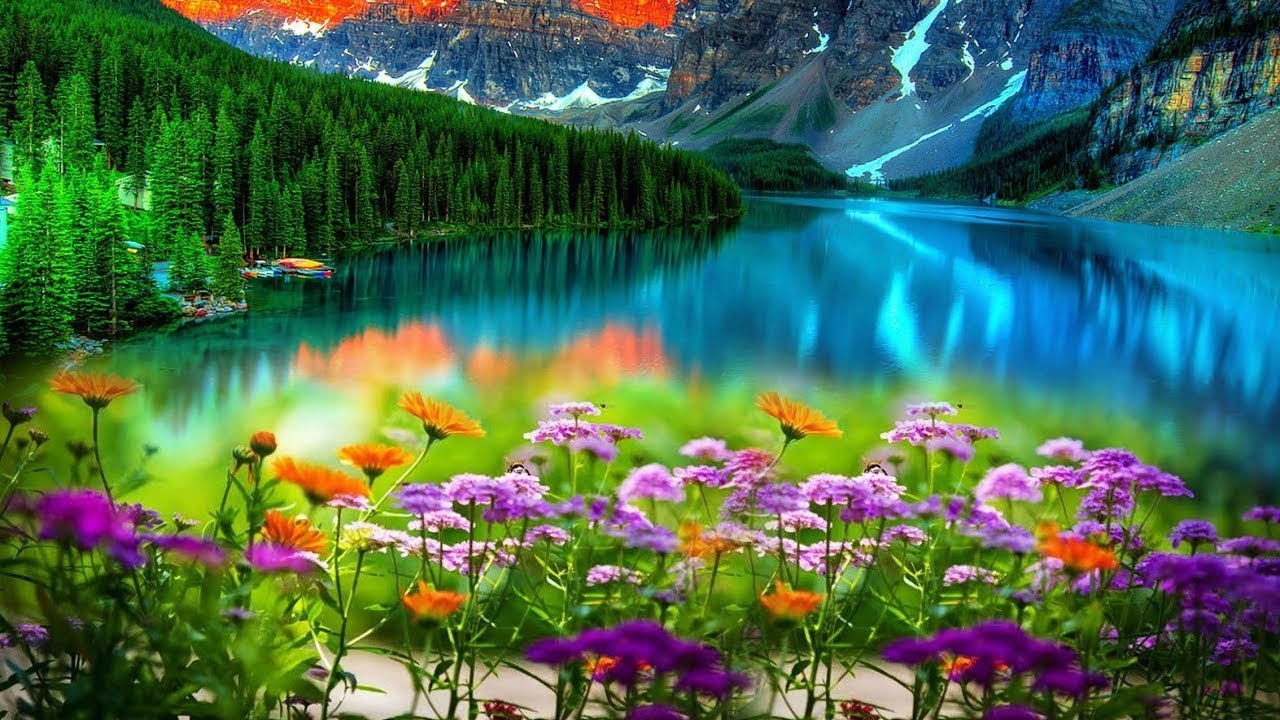 Kamro- Voyage (New version)