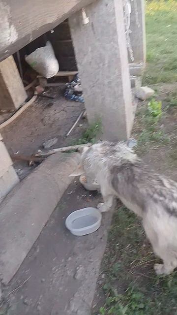 прикол на обсос.mp4