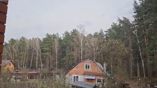 КУФР АЛЬ ДЖУНУН...джин безумия