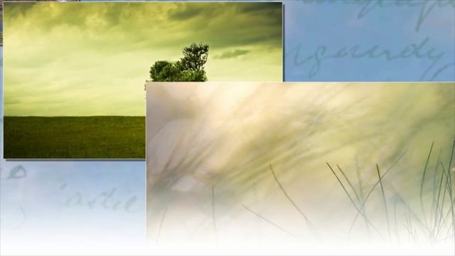 WaveWizzard - Sonic Vibes