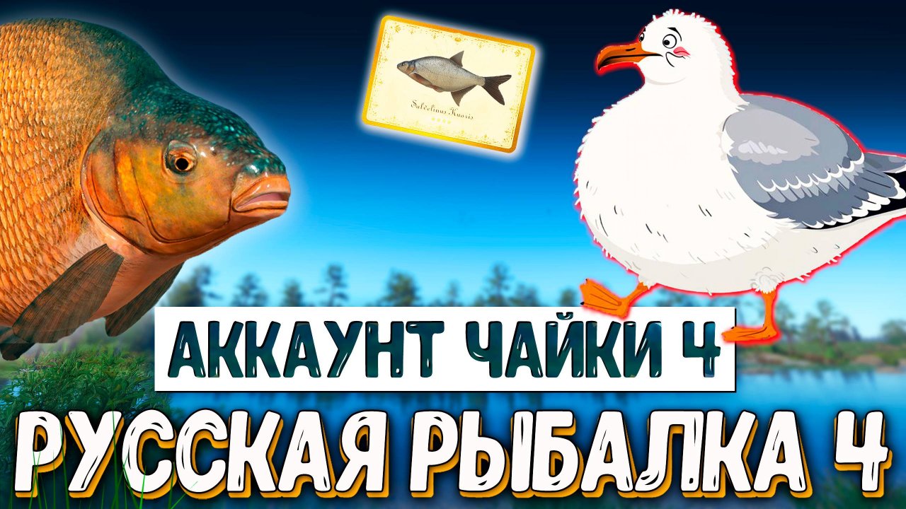 Rf4 из чата отправили катушку когда фармил лещей на остроге #рр4