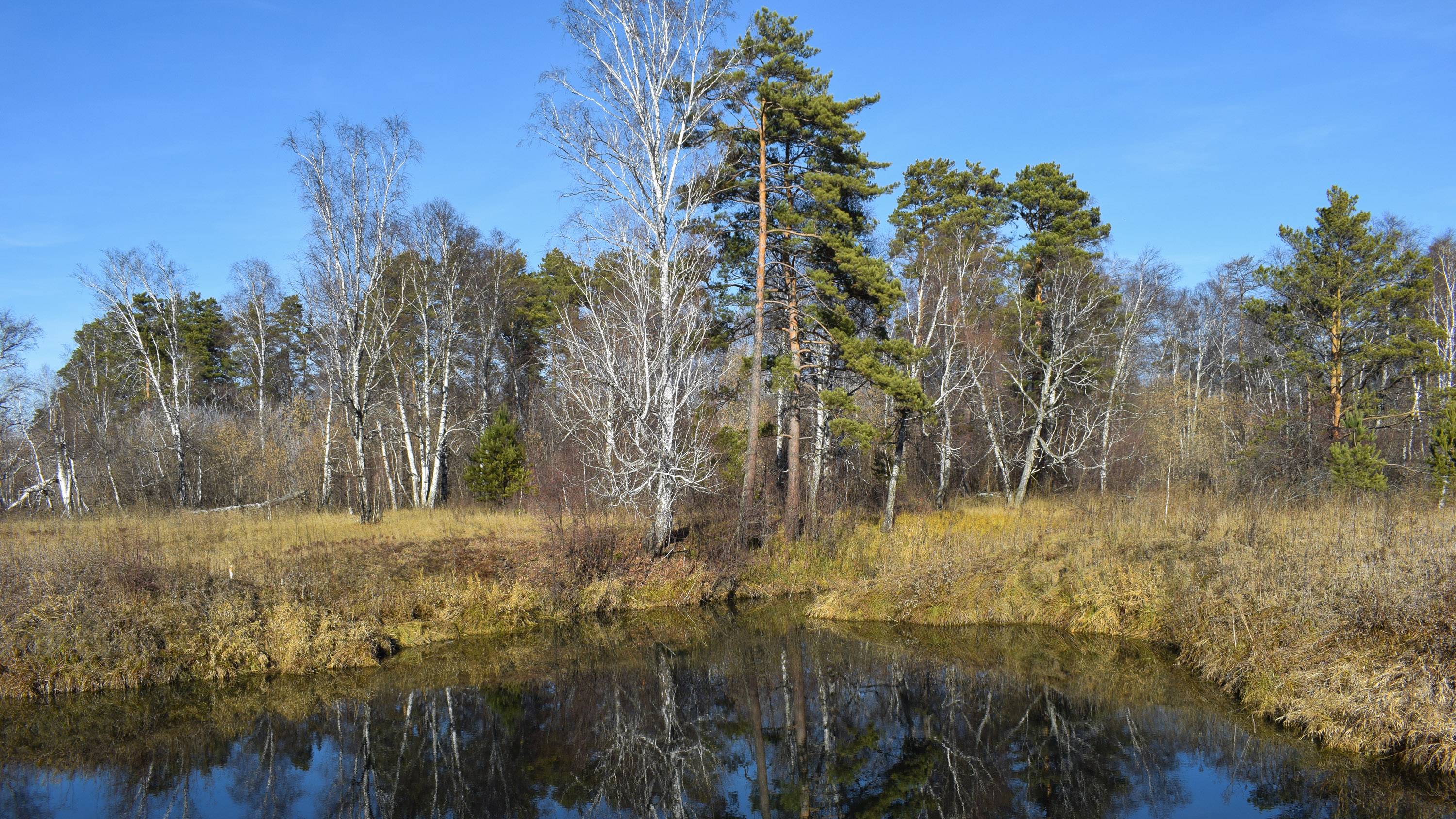 Река Кашкарагаиха в районе Озёрок.
