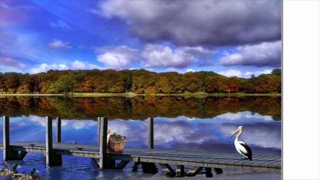 WaveWizzard - Monsters Dance