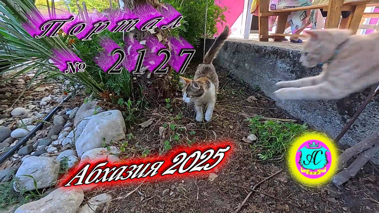 #Абхазия2025🌴 18.08.25г. Выпуск №2127🌡вчера +35°🌡ночью  +22°🐬море +27,3❗